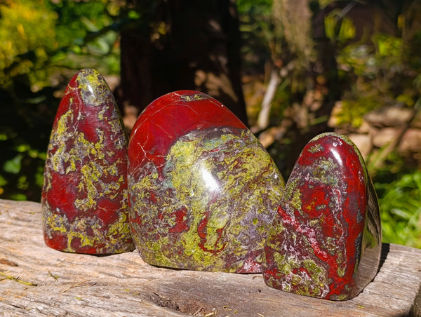Polished Dragon Bloodstone Standing Free Forms x 3 From South Africa