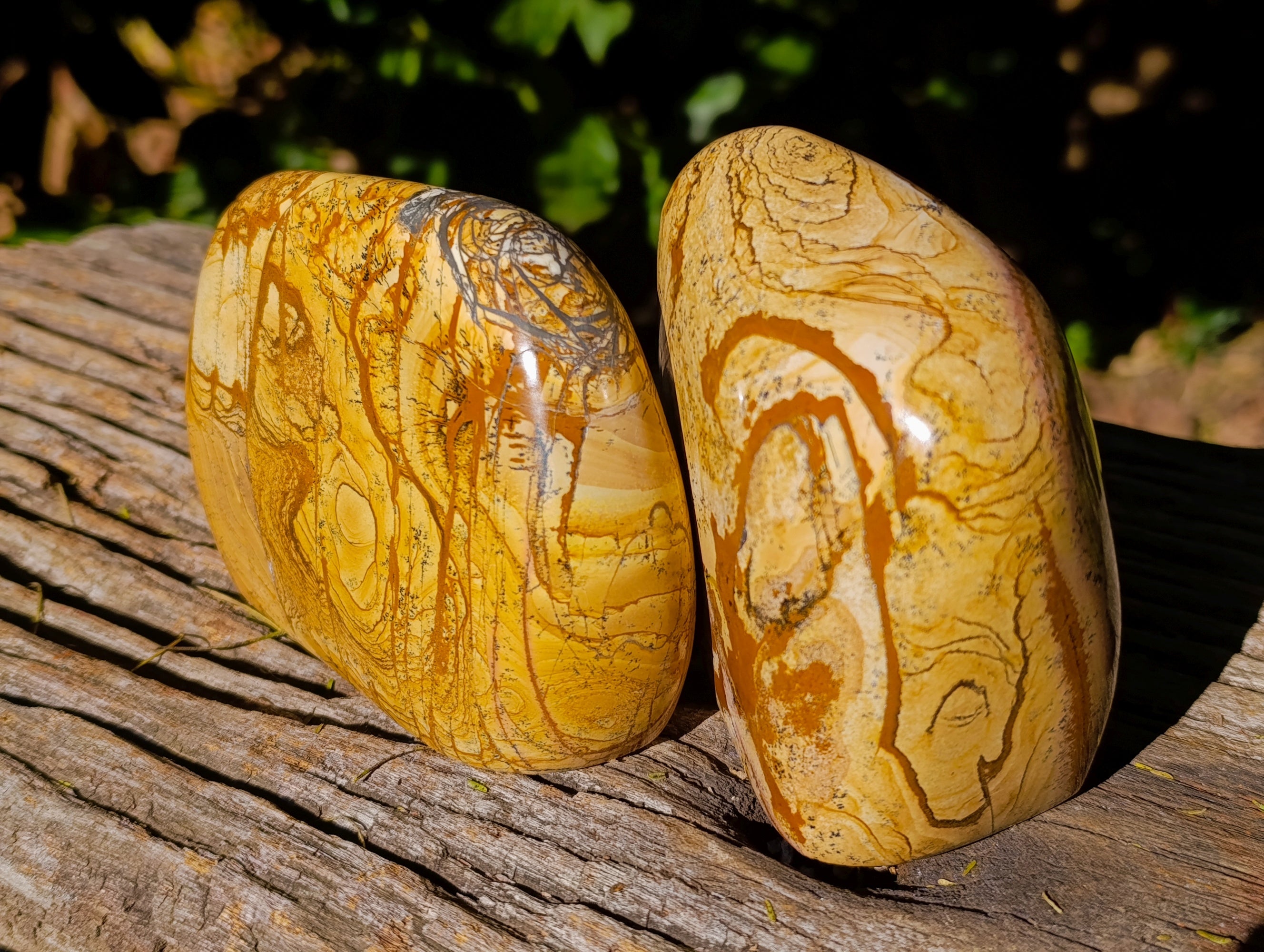 Polished Picture Stone Jasper Standing Free Forms x 2 From Ais-Ais, Namibia - Toprock Gemstones and Minerals 