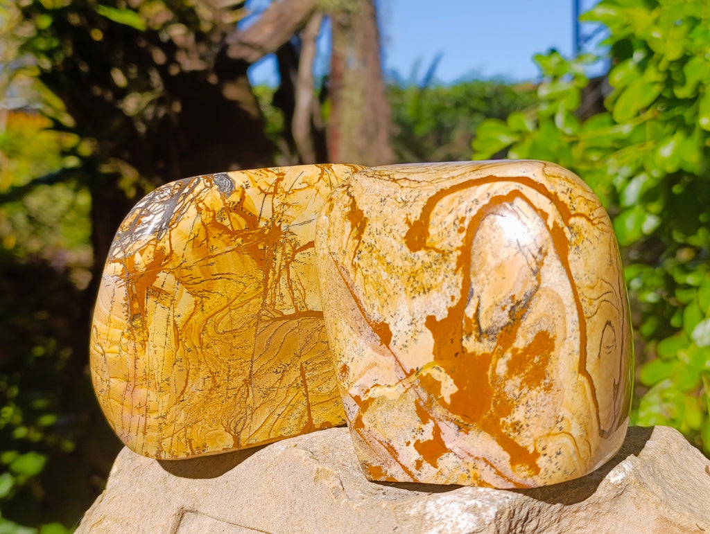Polished Picture Stone Jasper Standing Free Forms x 2 From Ais-Ais, Namibia - Toprock Gemstones and Minerals 