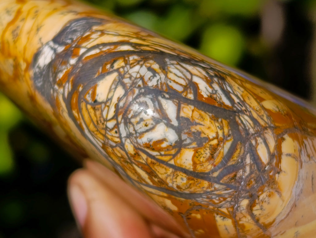 Polished Picture Stone Jasper Standing Free Forms x 2 From Ais-Ais, Namibia - Toprock Gemstones and Minerals 
