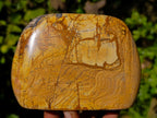 Polished Picture Stone Jasper Standing Free Forms x 2 From Ais-Ais, Namibia - Toprock Gemstones and Minerals 