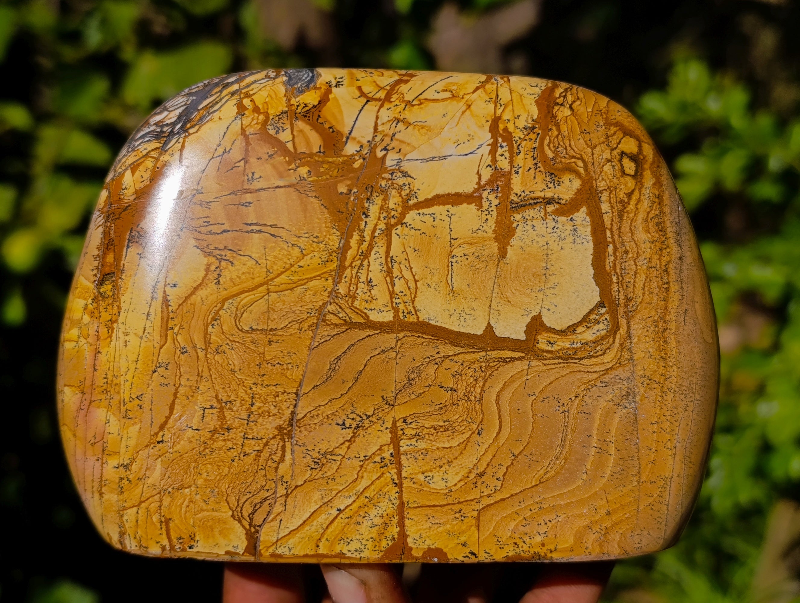 Polished Picture Stone Jasper Standing Free Forms x 2 From Ais-Ais, Namibia - Toprock Gemstones and Minerals 