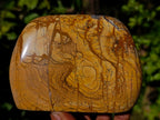 Polished Picture Stone Jasper Standing Free Forms x 2 From Ais-Ais, Namibia - Toprock Gemstones and Minerals 