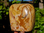 Polished Picture Stone Jasper Standing Free Forms x 2 From Ais-Ais, Namibia - Toprock Gemstones and Minerals 