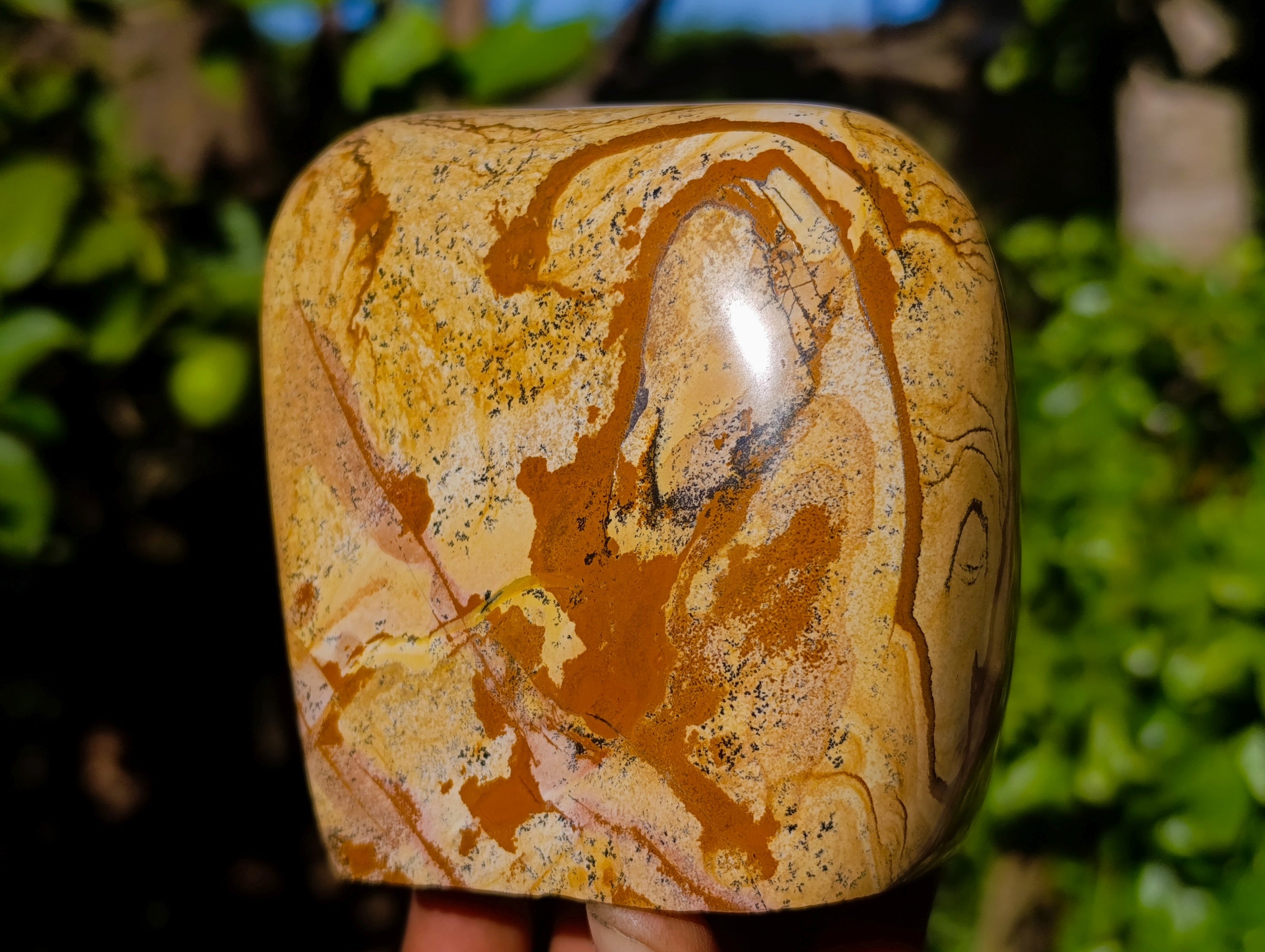 Polished Picture Stone Jasper Standing Free Forms x 2 From Ais-Ais, Namibia - Toprock Gemstones and Minerals 