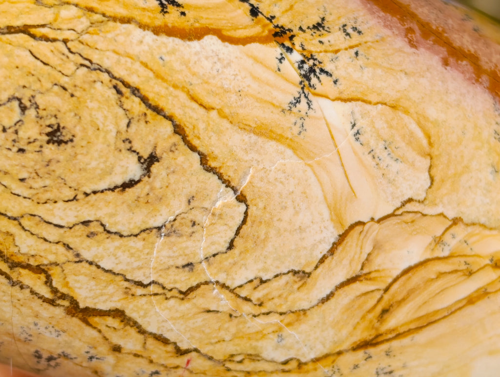 Polished Picture Stone Jasper Standing Free Forms x 2 From Ais-Ais, Namibia - Toprock Gemstones and Minerals 