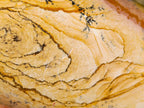 Polished Picture Stone Jasper Standing Free Forms x 2 From Ais-Ais, Namibia - Toprock Gemstones and Minerals 