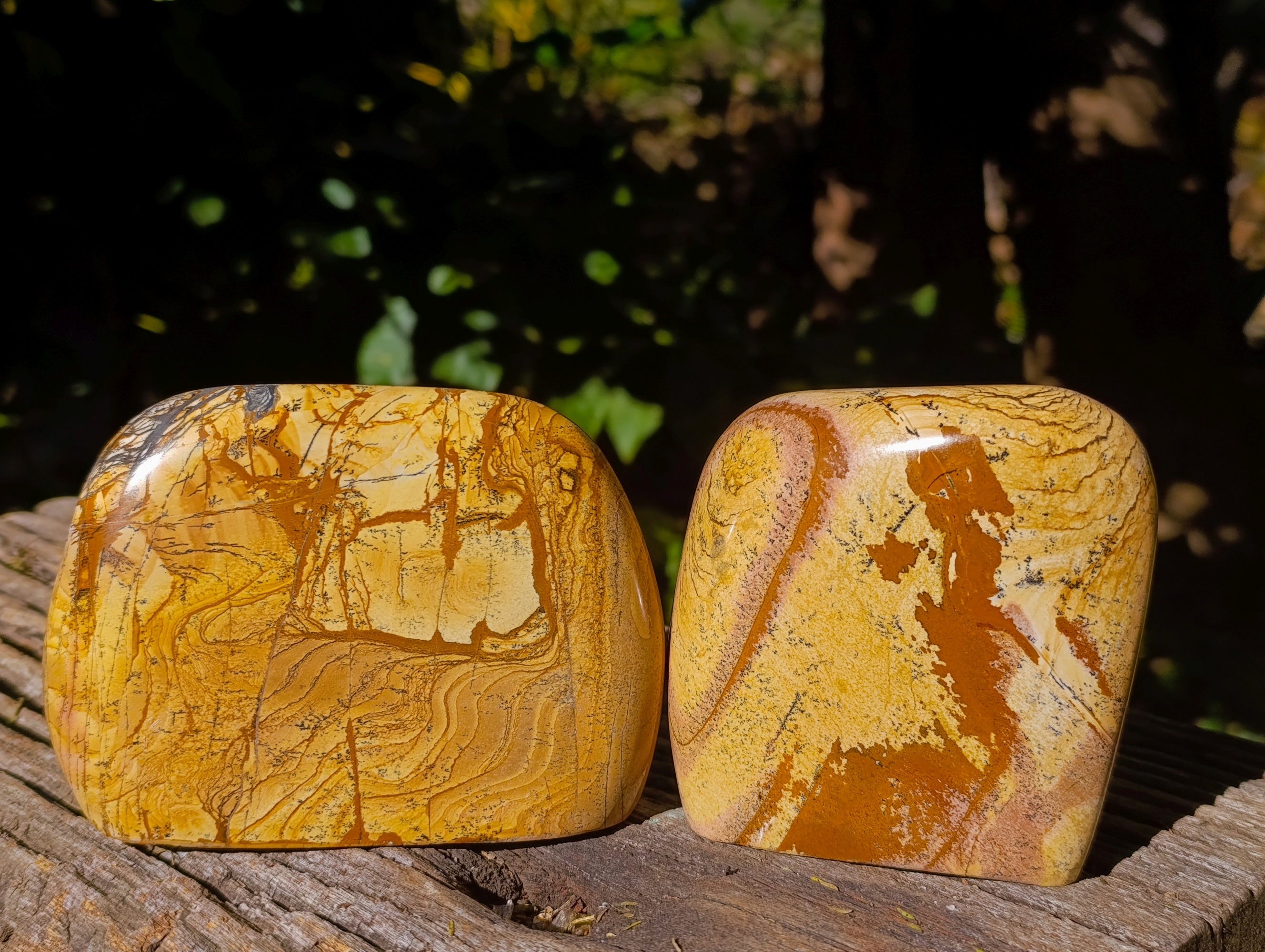 Polished Picture Stone Jasper Standing Free Forms x 2 From Ais-Ais, Namibia - Toprock Gemstones and Minerals 