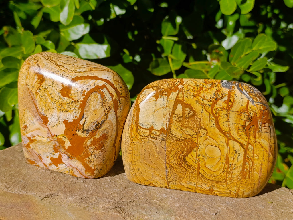 Polished Picture Stone Jasper Standing Free Forms x 2 From Ais-Ais, Namibia - Toprock Gemstones and Minerals 