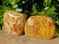 Polished Picture Stone Jasper Standing Free Forms x 2 From Ais-Ais, Namibia - Toprock Gemstones and Minerals 