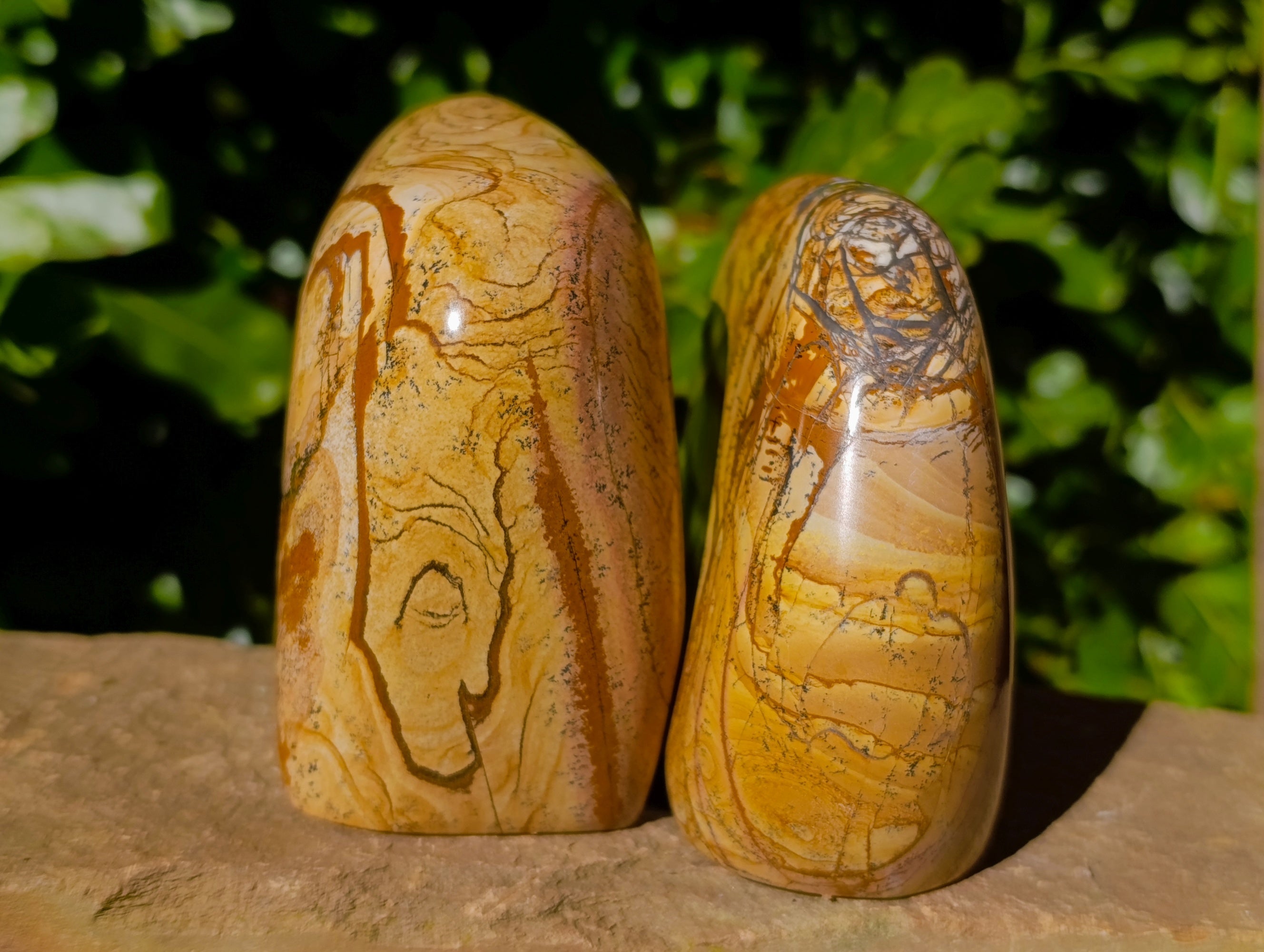 Polished Picture Stone Jasper Standing Free Forms x 2 From Ais-Ais, Namibia - Toprock Gemstones and Minerals 