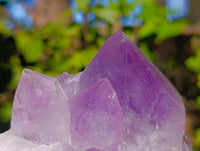 Natural Jacaranda Amethyst Quartz Clusters x 3 From Mumbwa, Zambia - Toprock Gemstones and Minerals 
