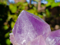 Natural Jacaranda Amethyst Quartz Clusters x 3 From Mumbwa, Zambia - Toprock Gemstones and Minerals 