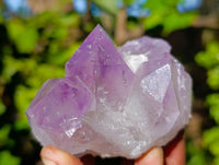 Natural Jacaranda Amethyst Quartz Clusters x 3 From Mumbwa, Zambia - Toprock Gemstones and Minerals 