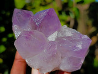 Natural Jacaranda Amethyst Quartz Clusters x 3 From Mumbwa, Zambia - Toprock Gemstones and Minerals 