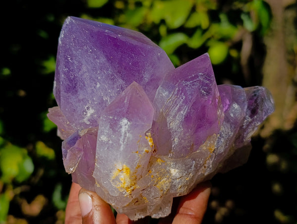 Natural Jacaranda Amethyst Quartz Clusters x 3 From Mumbwa, Zambia