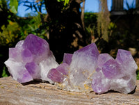 Natural Jacaranda Amethyst Quartz Clusters x 3 From Mumbwa, Zambia - Toprock Gemstones and Minerals 