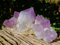 Natural Jacaranda Amethyst Quartz Clusters x 3 From Mumbwa, Zambia - Toprock Gemstones and Minerals 
