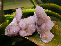 Natural Amethyst Spirit Quartz Clusters x 6 From Boekenhouthoek, South Africa