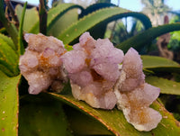 Natural Amethyst Spirit Quartz Clusters x 6 From Boekenhouthoek, South Africa