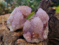 Natural Amethyst Spirit Quartz Clusters x 6 From Boekenhouthoek, South Africa