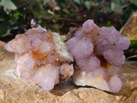 Natural Amethyst Spirit Quartz Clusters x 6 From Boekenhouthoek, South Africa