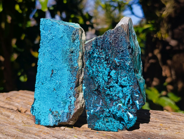 Natural Silica Chrysocolla Specimens x 5 From Kulukuluku, Congo