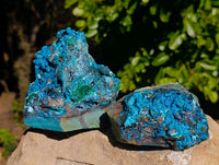 Natural Silica Chrysocolla Specimens x 5 From Kulukuluku, Congo - Toprock Gemstones and Minerals 