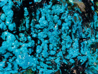 Natural Silica Chrysocolla Specimens x 5 From Kulukuluku, Congo - Toprock Gemstones and Minerals 