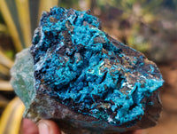 Natural Silica Chrysocolla Specimens x 5 From Kulukuluku, Congo - Toprock Gemstones and Minerals 