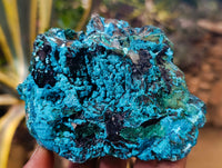 Natural Silica Chrysocolla Specimens x 5 From Kulukuluku, Congo - Toprock Gemstones and Minerals 