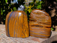 Polished Tiger's Eye Standing Free Forms x 2 From Prieska, South Africa - Toprock Gemstones and Minerals 