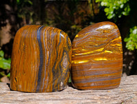 Polished Tiger's Eye Standing Free Forms x 2 From Prieska, South Africa - Toprock Gemstones and Minerals 