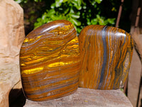 Polished Tiger's Eye Standing Free Forms x 2 From Prieska, South Africa - Toprock Gemstones and Minerals 