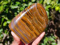 Polished Tiger's Eye Standing Free Forms x 2 From Prieska, South Africa - Toprock Gemstones and Minerals 