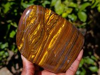 Polished Tiger's Eye Standing Free Forms x 2 From Prieska, South Africa - Toprock Gemstones and Minerals 