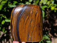 Polished Tiger's Eye Standing Free Forms x 2 From Prieska, South Africa - Toprock Gemstones and Minerals 
