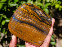 Polished Tiger's Eye Standing Free Forms x 2 From Prieska, South Africa - Toprock Gemstones and Minerals 