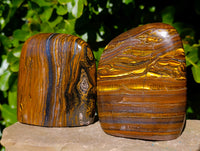 Polished Tiger's Eye Standing Free Forms x 2 From Prieska, South Africa - Toprock Gemstones and Minerals 