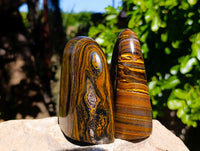 Polished Tiger's Eye Standing Free Forms x 2 From Prieska, South Africa - Toprock Gemstones and Minerals 