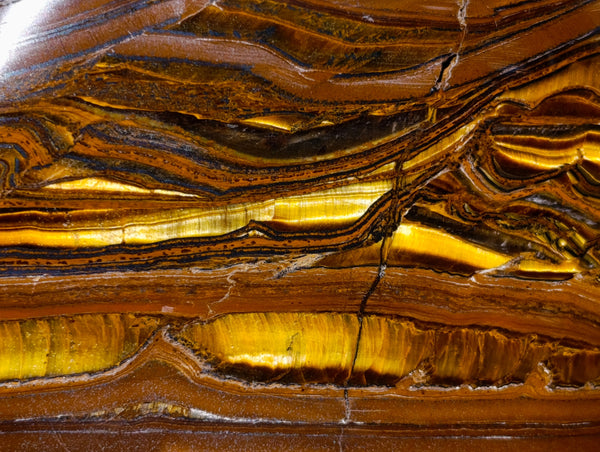 Polished Tiger's Eye Standing Free Forms x 2 From Prieska, South Africa - Toprock Gemstones and Minerals 