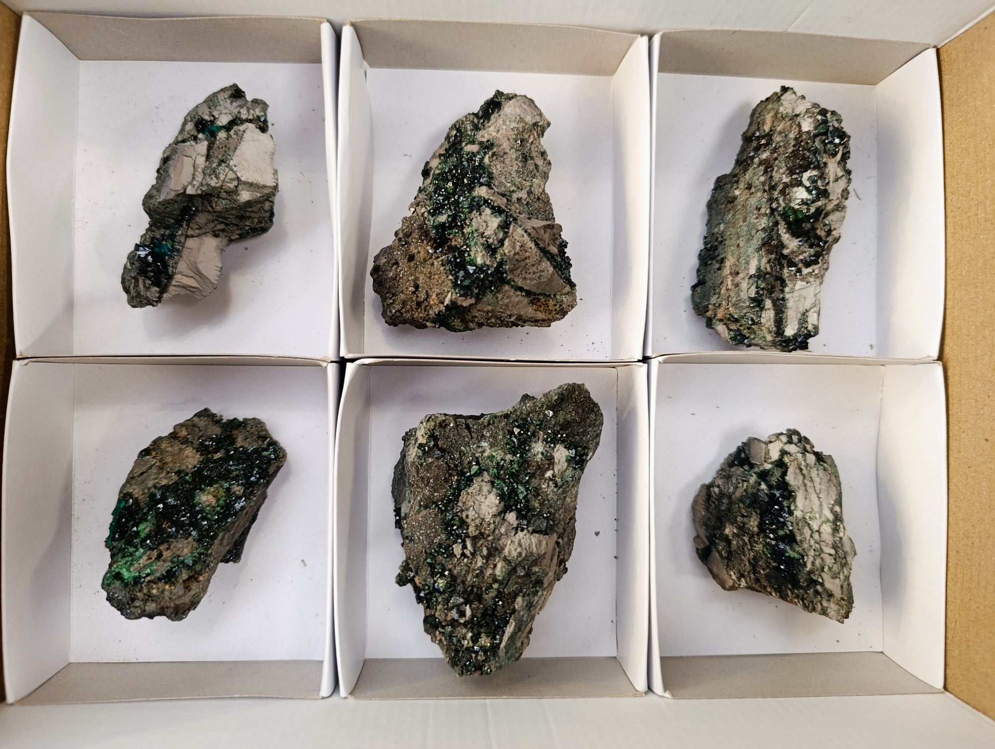 Natural Libethenite Crystals On Dolomite Matrix Specimens x 6 From Shituru, Congo - Toprock Gemstones and Minerals 