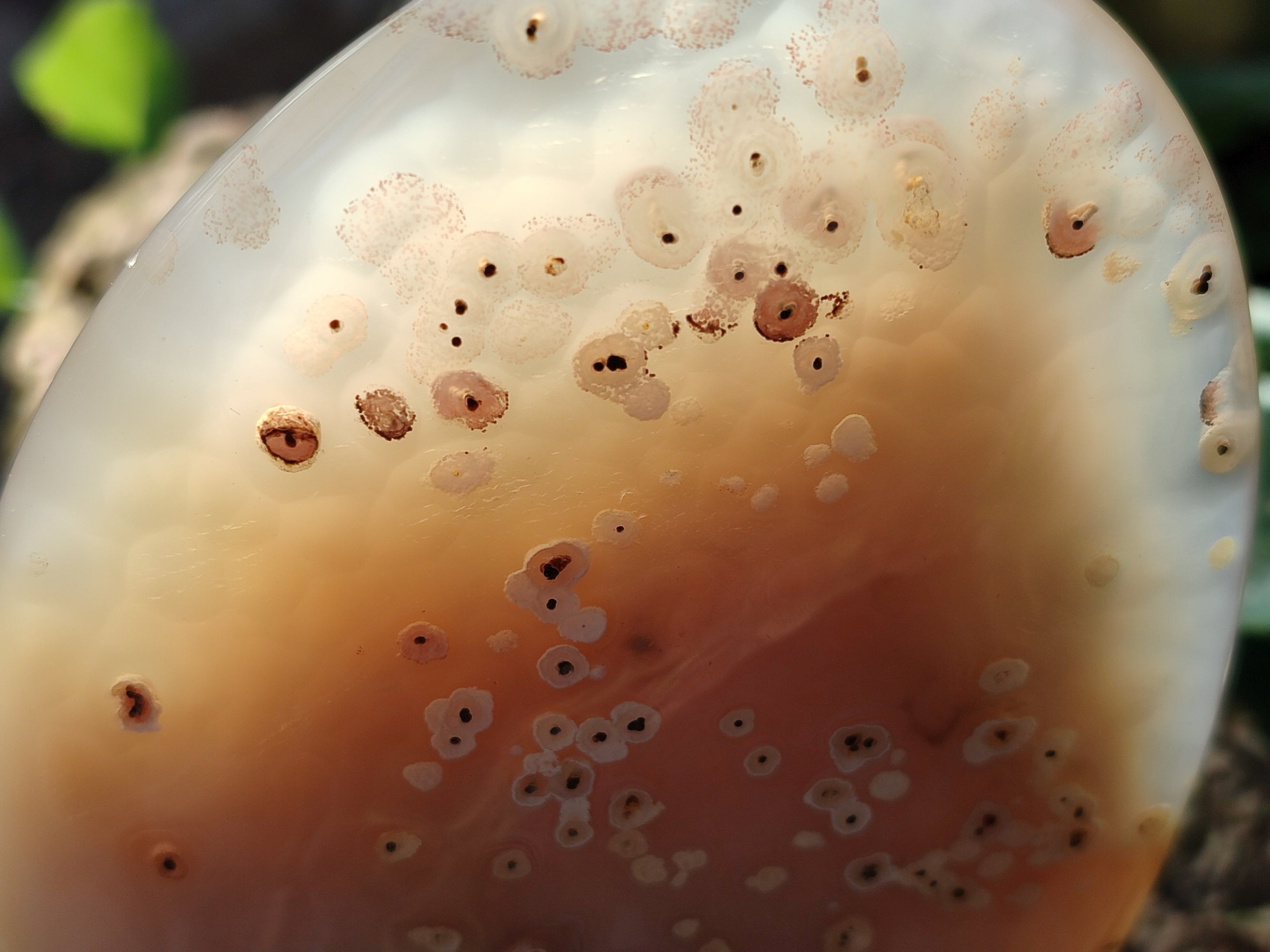 Polished Dendritic Opal Standing Free Forms x 5 From Moralambo, Madagascar - Toprock Gemstones and Minerals 