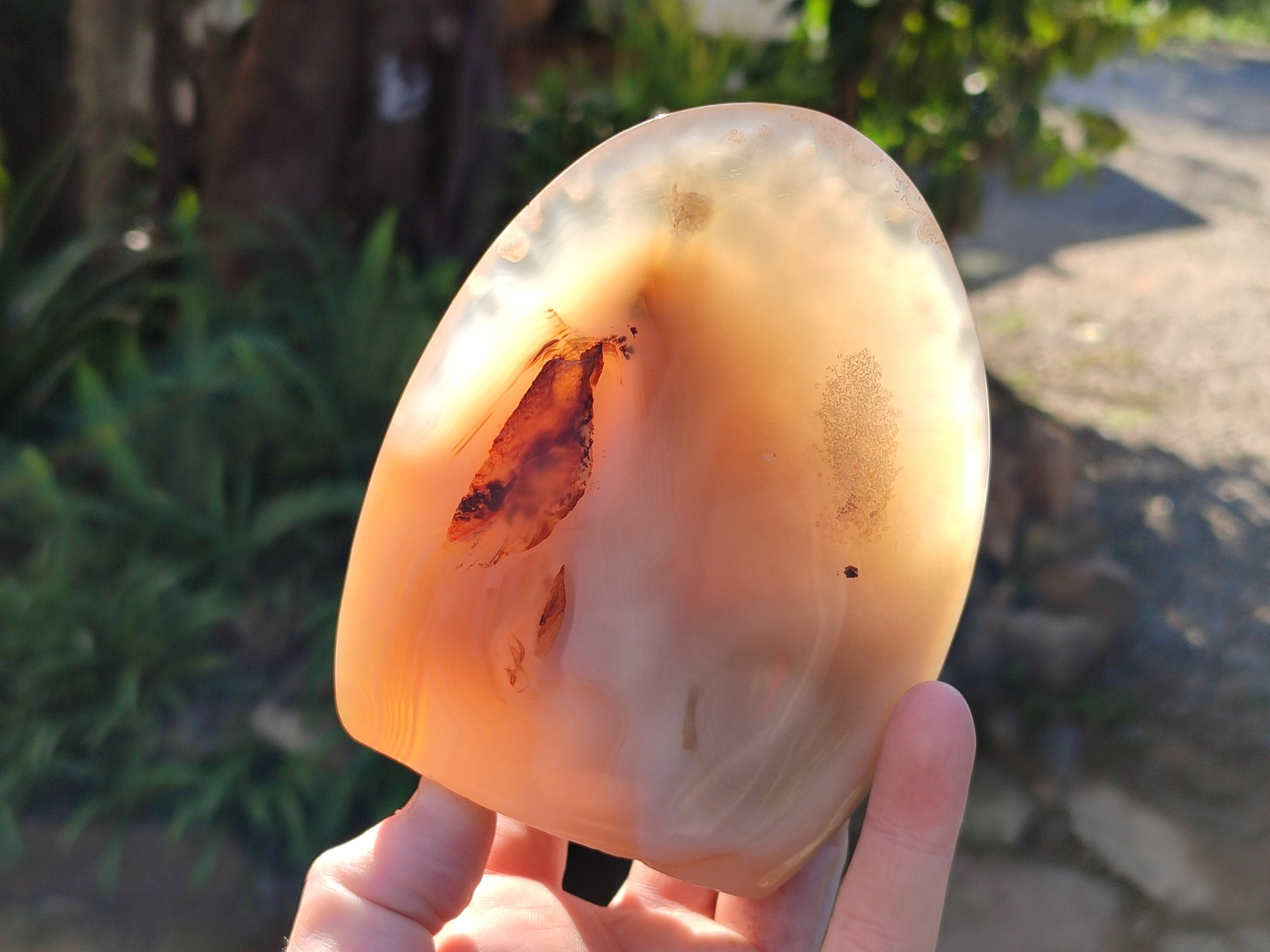 Polished Dendritic Opal Standing Free Forms x 5 From Moralambo, Madagascar - Toprock Gemstones and Minerals 