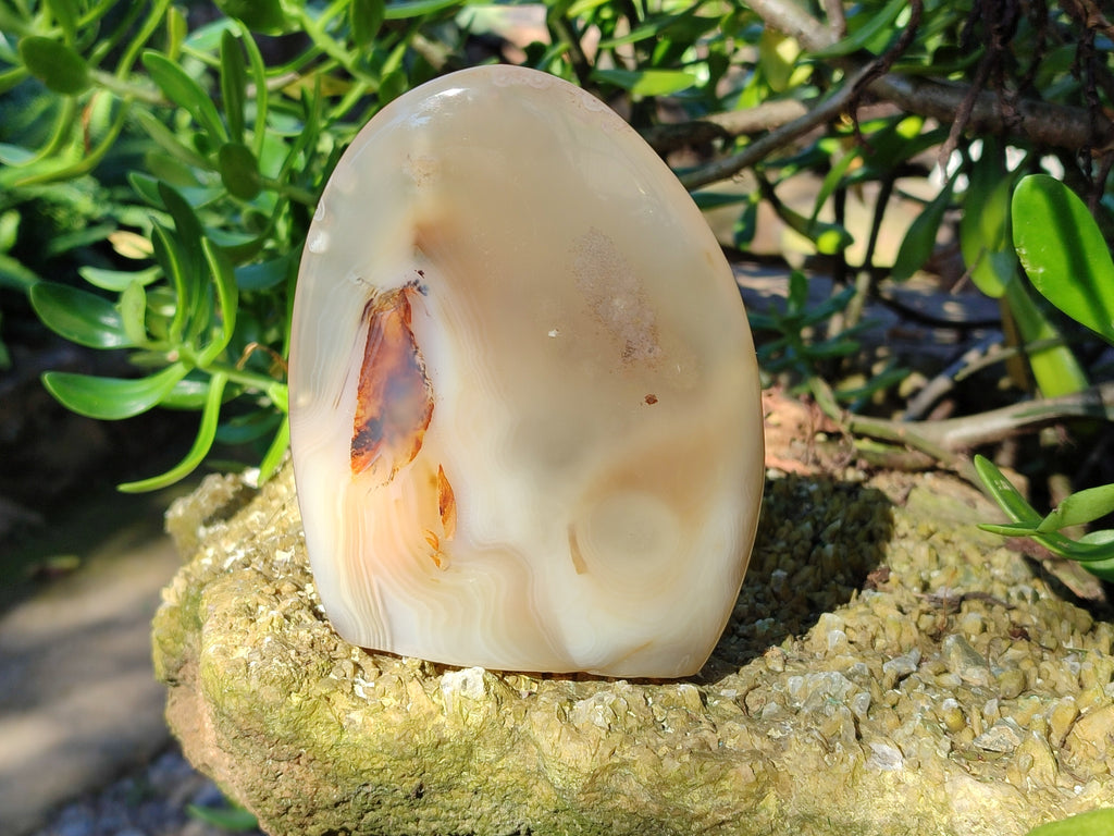 Polished Dendritic Opal Standing Free Forms x 5 From Moralambo, Madagascar - Toprock Gemstones and Minerals 