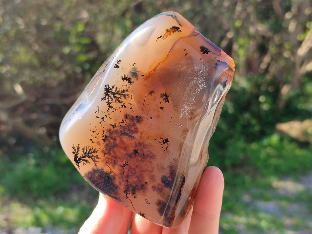 Polished Dendritic Opal Standing Free Forms x 5 From Moralambo, Madagascar - Toprock Gemstones and Minerals 