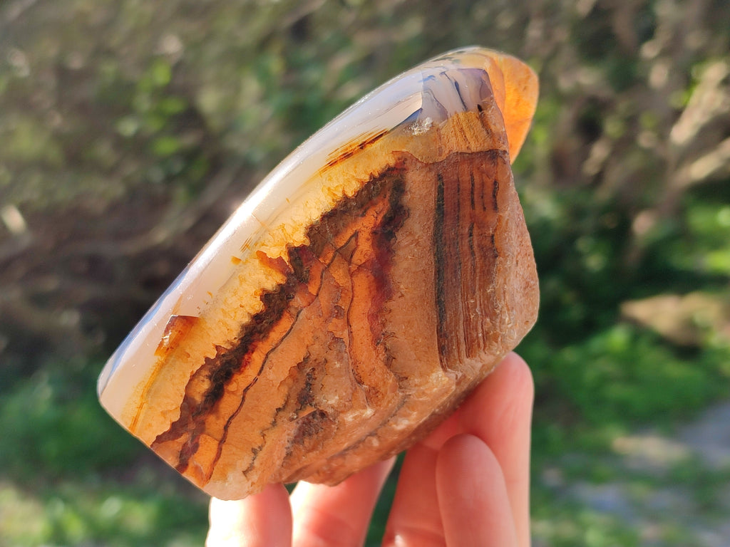 Polished Dendritic Opal Standing Free Forms x 5 From Moralambo, Madagascar - Toprock Gemstones and Minerals 