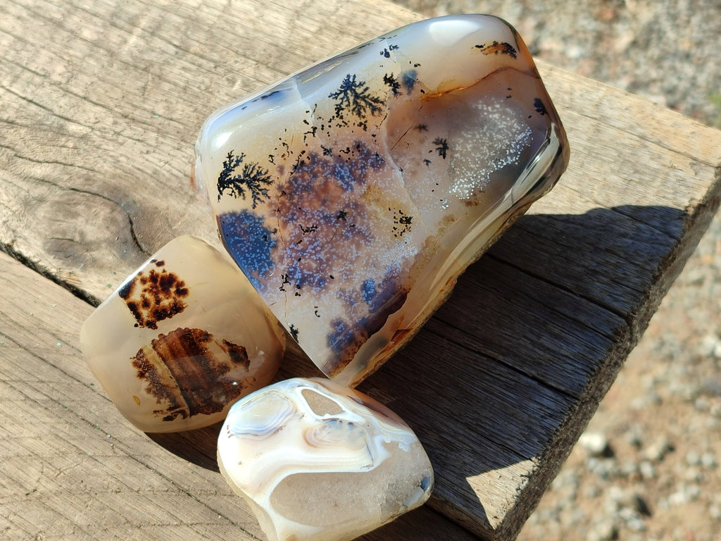 Polished Dendritic Opal Standing Free Forms x 5 From Moralambo, Madagascar - Toprock Gemstones and Minerals 