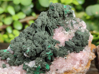Natural Rare Rhodocalcite Specimens x 2 From Congo - Toprock Gemstones and Minerals 