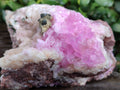 Natural Rare Rhodocalcite Specimens x 2 From Congo - Toprock Gemstones and Minerals 